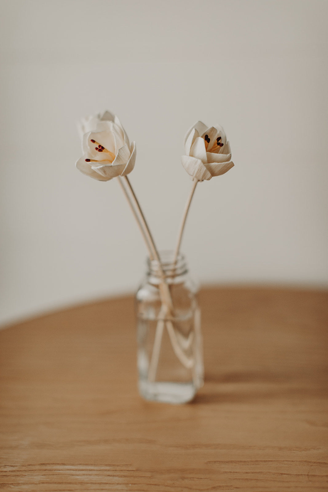 Willow Reed Diffuser