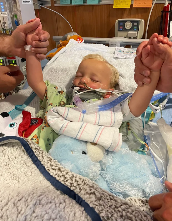 Love Can Build a Briggs - Donation