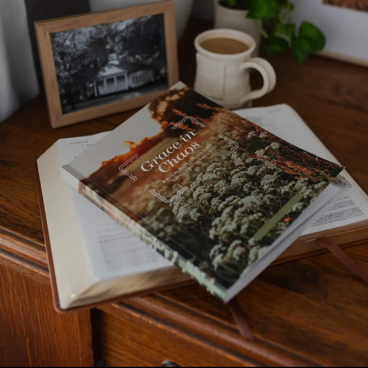 Grace in Chaos: A Study on Motherhood
