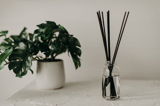 Willow Reed Diffuser