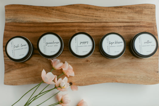 2026 Spring Discovery Set