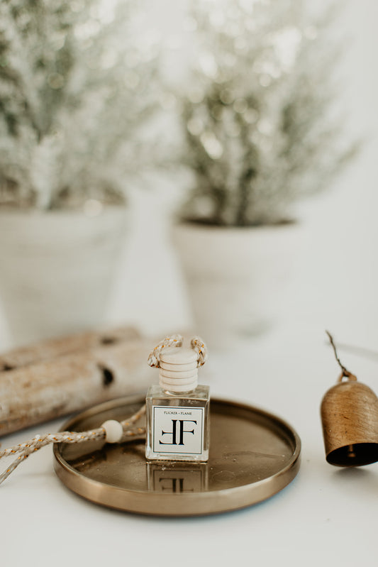 White Birch Car Diffuser