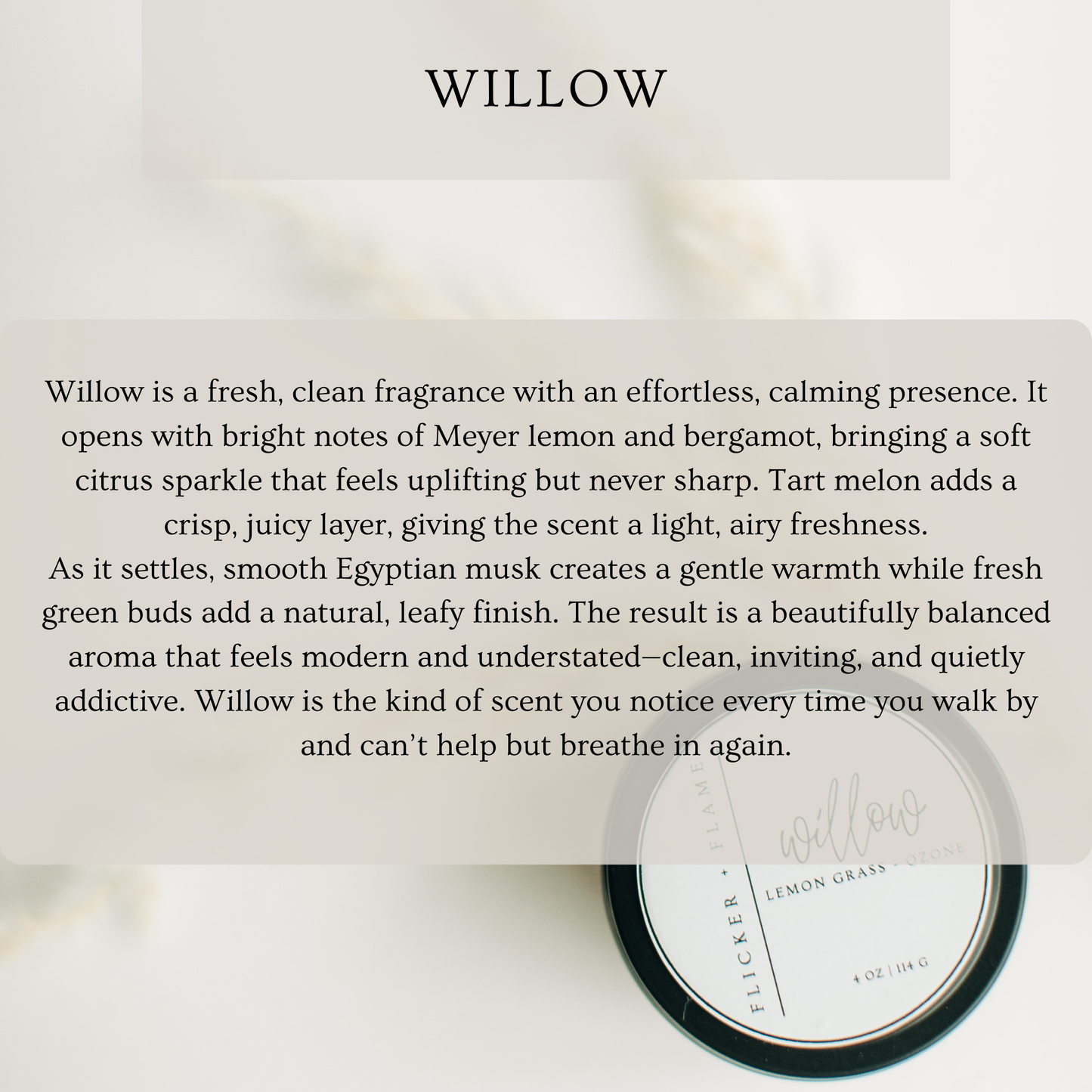 Spring Look Book