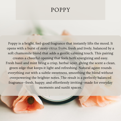Spring Look Book