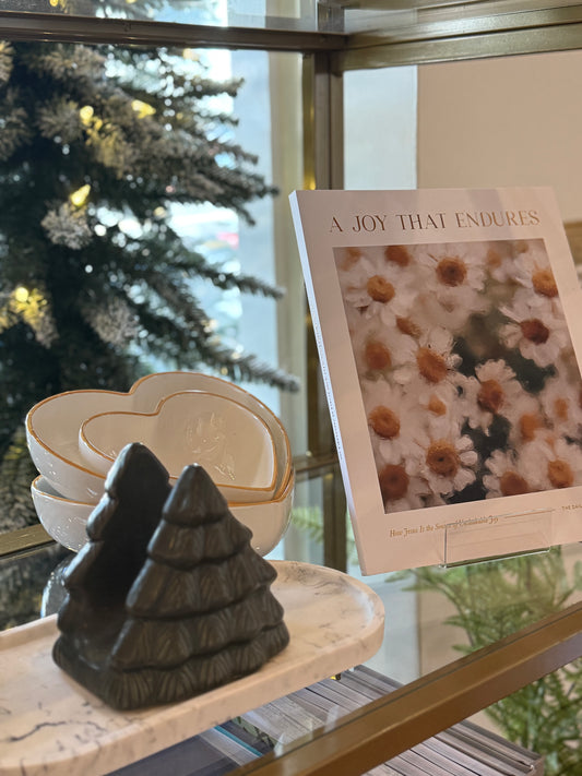 Green Christmas Tree Sponge Holder