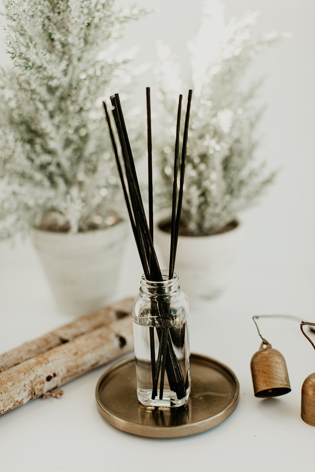 White Birch Reed Diffuser