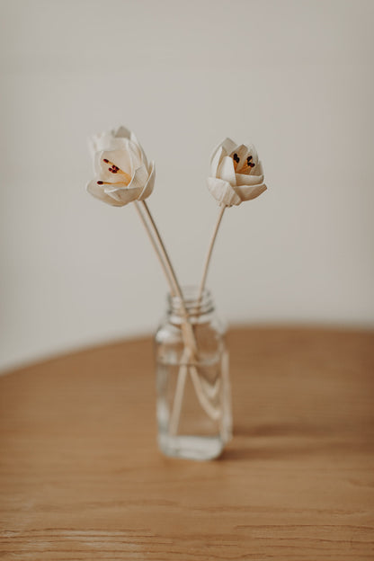 Willow Reed Diffuser