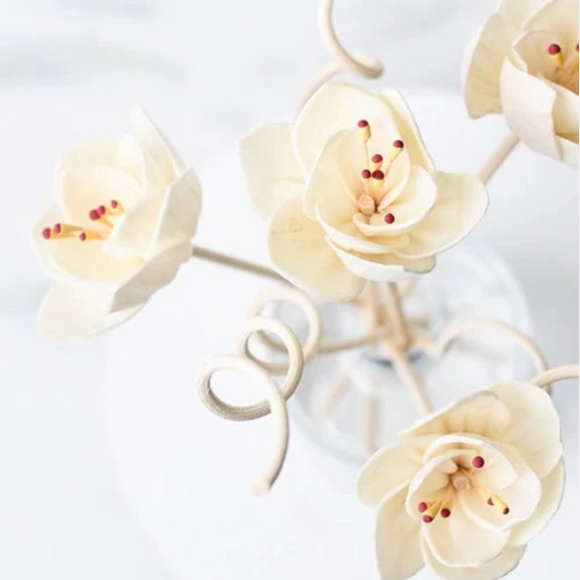 Diffuser Flower Reeds