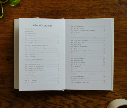 Forty Sayings of Jesus Bible Study (Hardcover)